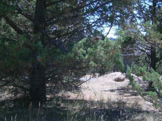 Golden Horseshoe - Land