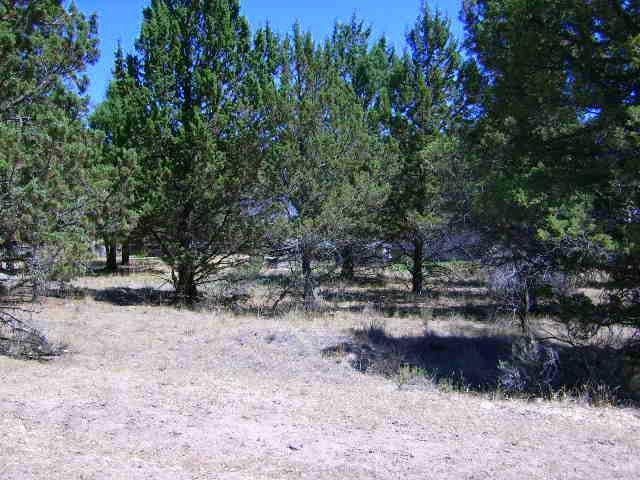 Golden Horseshoe - Land