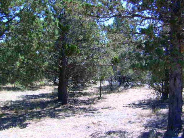 Golden Horseshoe - Land