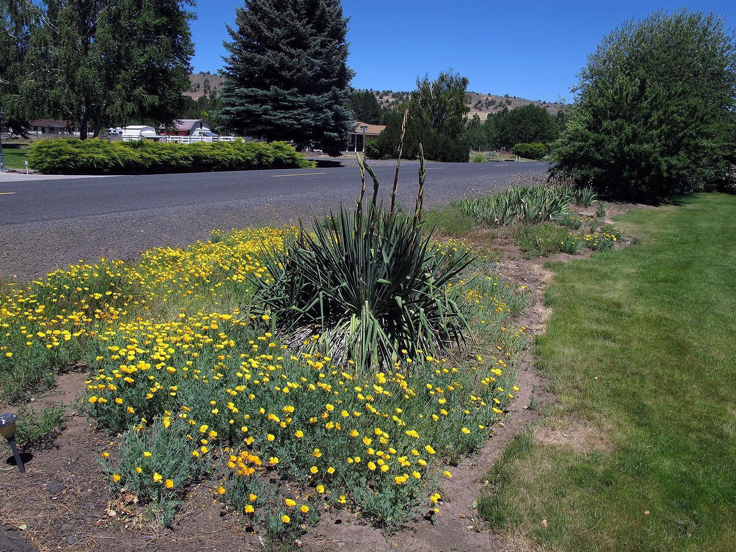 Green Acres - Residential