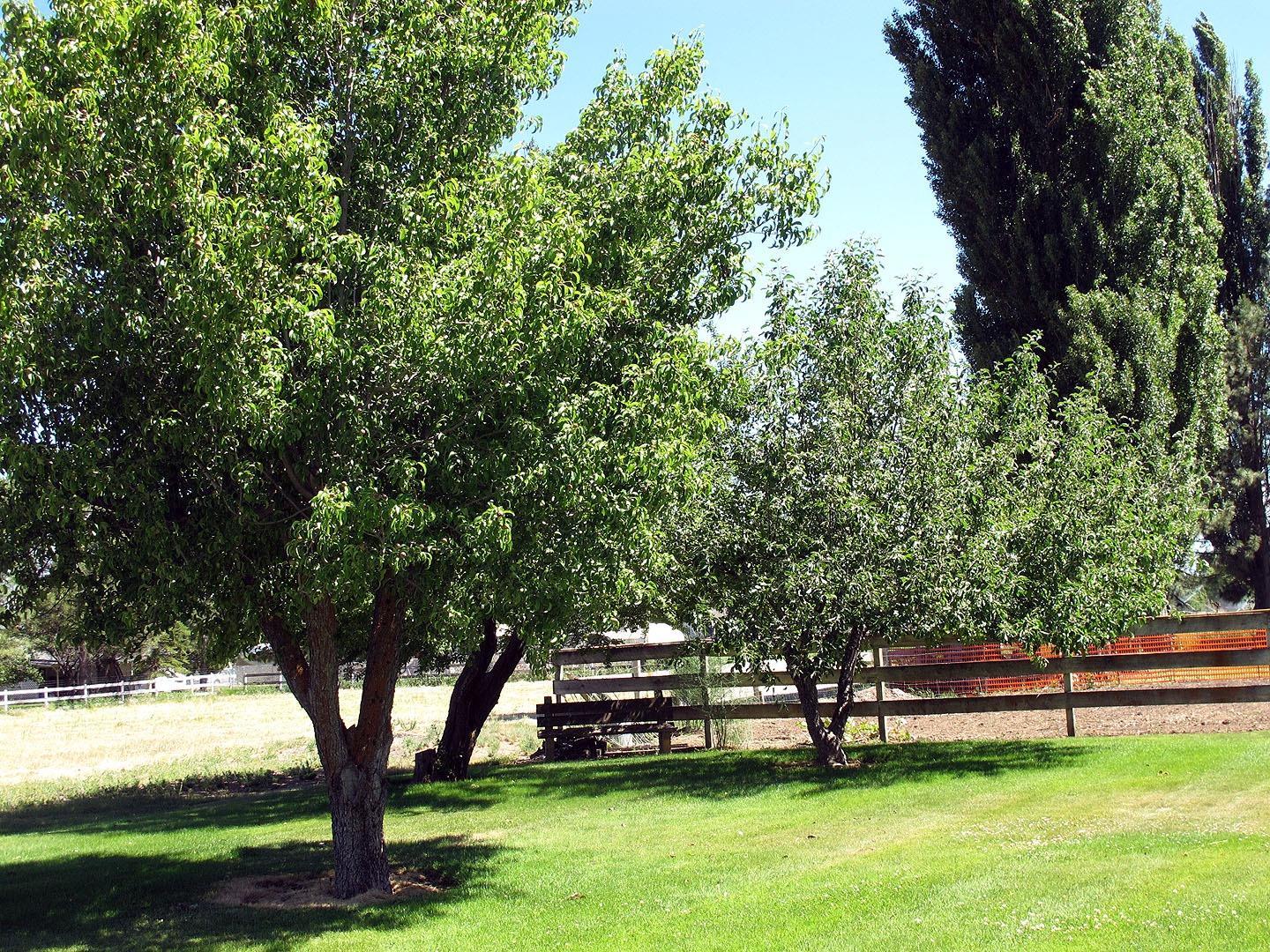 Green Acres - Residential