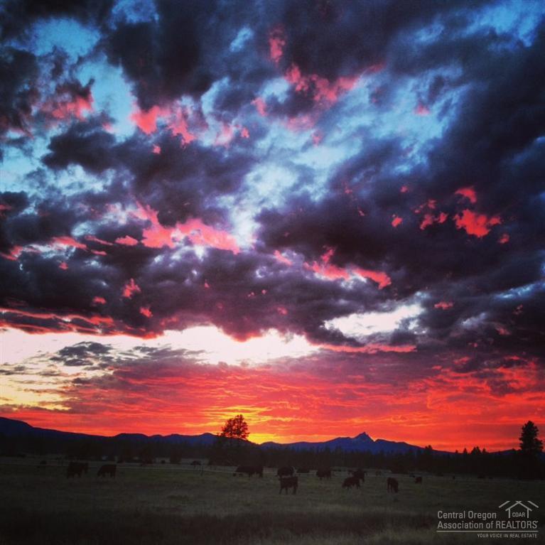 Pine Meadow Vill - Residential