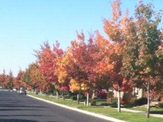 Canyon Rim Village - Land