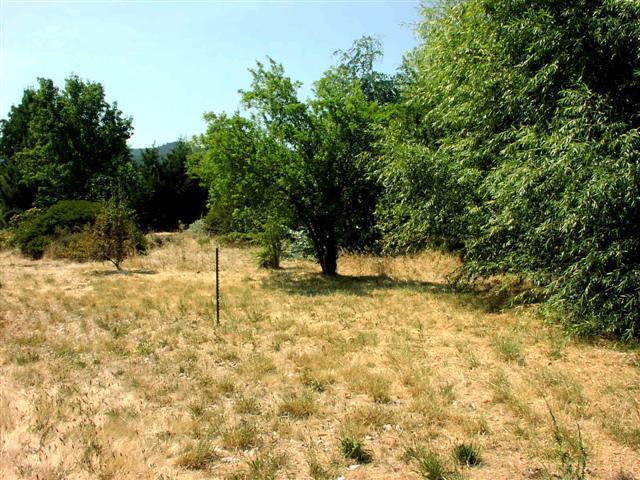 Riley Estates Phase 1 - Land