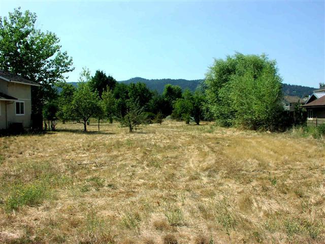 Riley Estates Phase 1 - Land