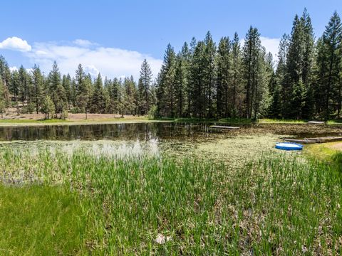 Tiny photo for 16799 Highway 66, Ashland, OR 97520 (MLS # 220210683)