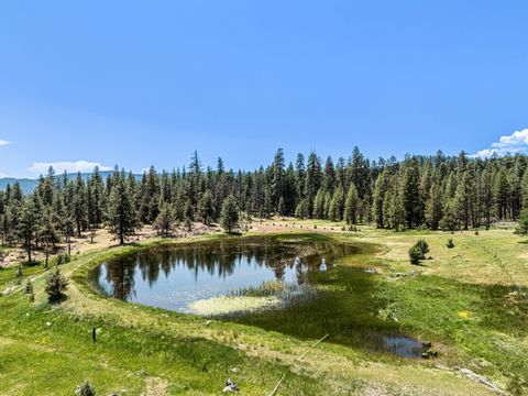 Tiny photo for 16799 Highway 66, Ashland, OR 97520 (MLS # 220210683)