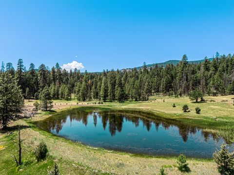 Tiny photo for 16799 Highway 66, Ashland, OR 97520 (MLS # 220210683)