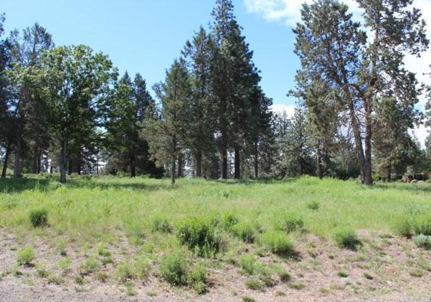 Pie Shaped View Lot That Backs Up To Golf Course - Ready to build