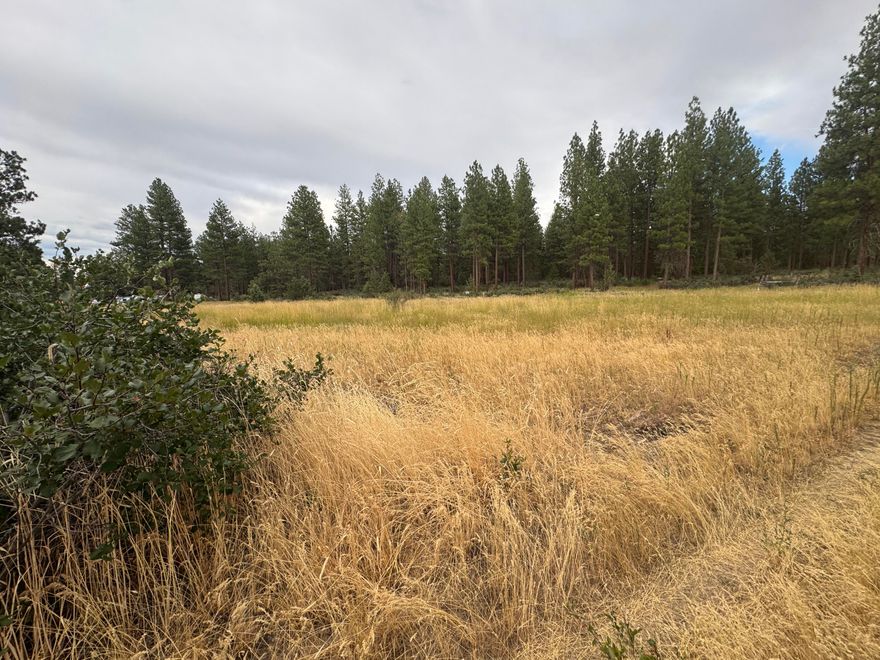 Nearly 1 Acre in Downtown Sprague River, OR-Ready to Build! Easy access right off main roads, this level, .82 acre residential-zoned lot is primed & ready for your dream home, cabin, or investment build. Mature trees line the property with meadow views around, offering a peaceful setting with the convenience of nearby small town amenities. Just a short drive brings you to the beautiful Sprague River, perfect for fishing, kayaking & swimming. Outdoor lovers will appreciate the area's reputation as a true recreational playground with birding, hunting, hiking & fishing opportunities all around. Located just 45 minutes from Klamath Falls, this property offers the best of both worlds—small-town charm with big outdoor adventure right at your doorstep. Whether you're planning to build a home, start a homestead, or create a vacation escape, this unique lot delivers location, beauty & lots of potential. 3 neighboring lots also listed.