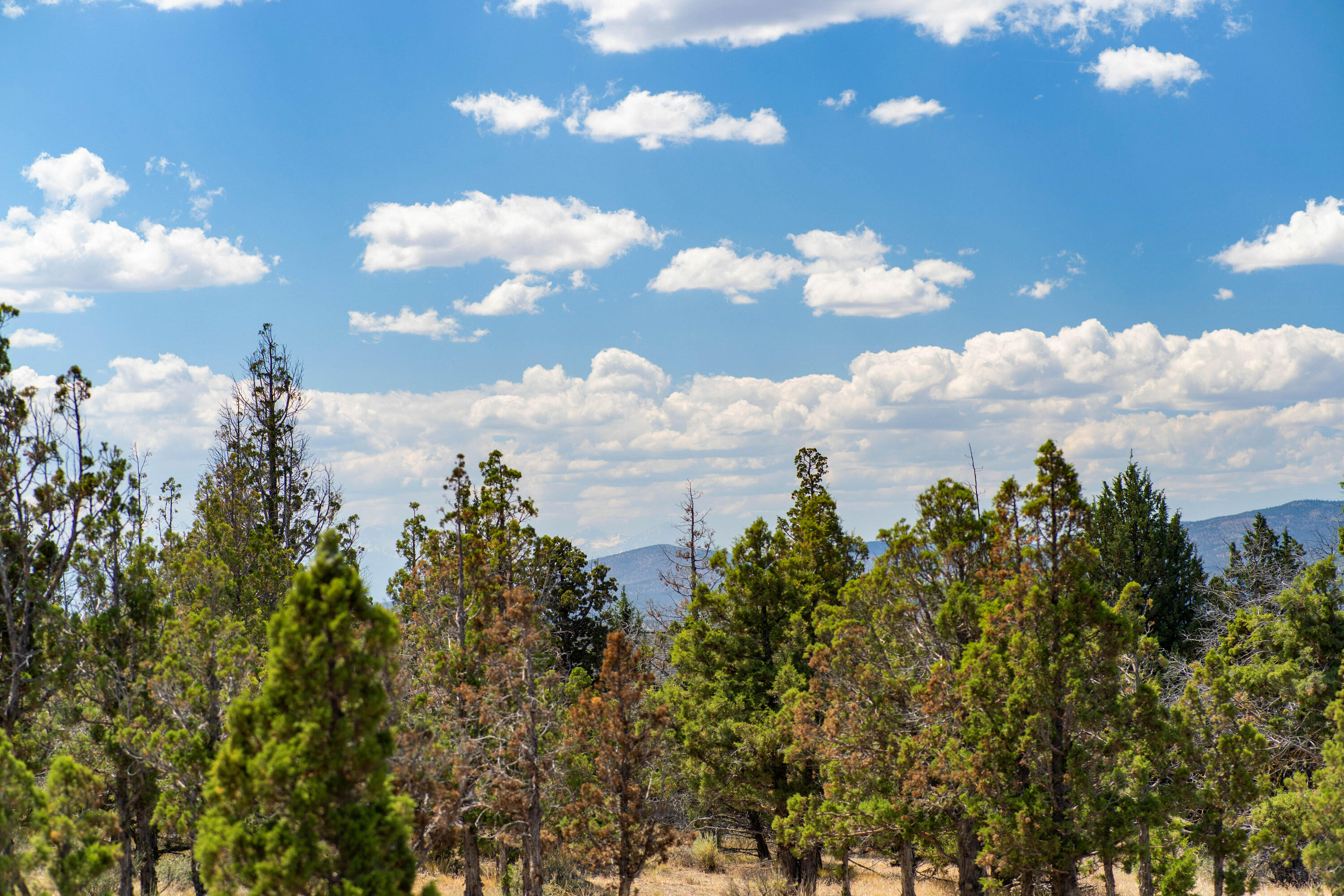 Prineville Acres - Residential