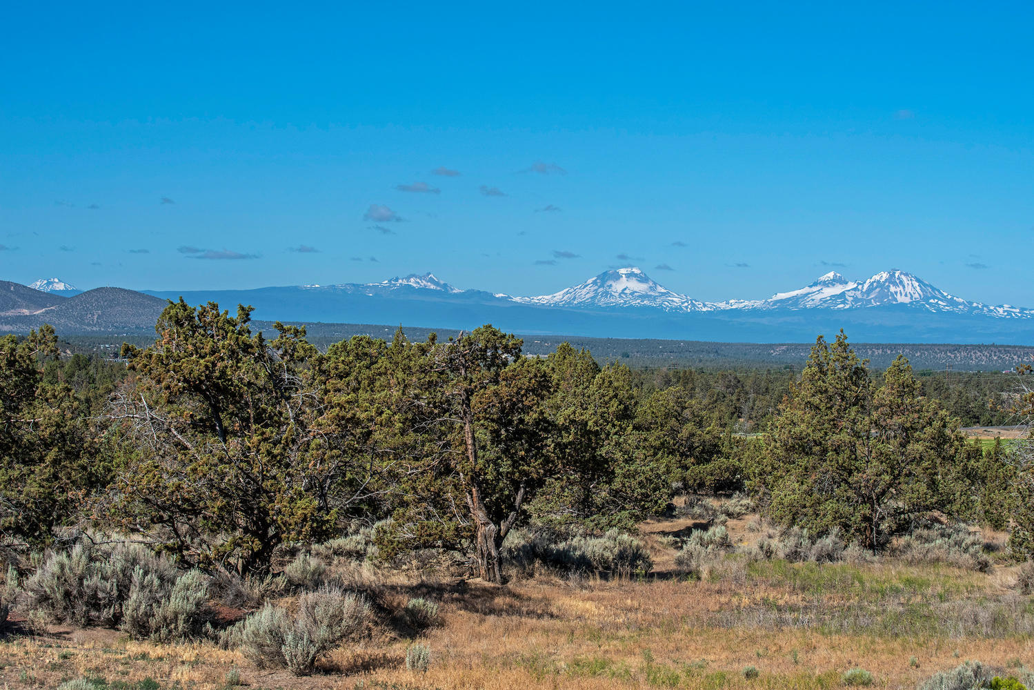 Squire Ridge - Residential