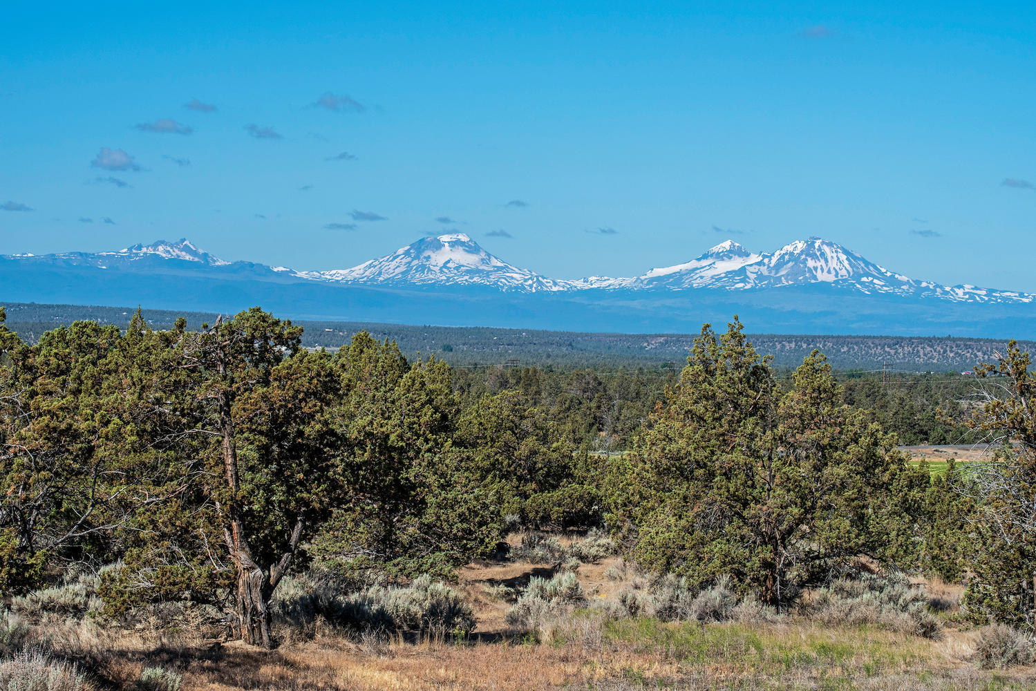 Squire Ridge - Residential