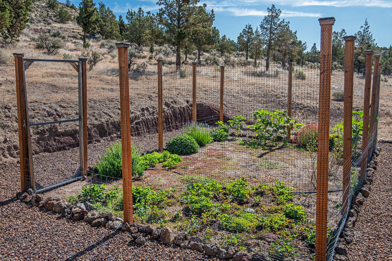 Squire Ridge - Residential