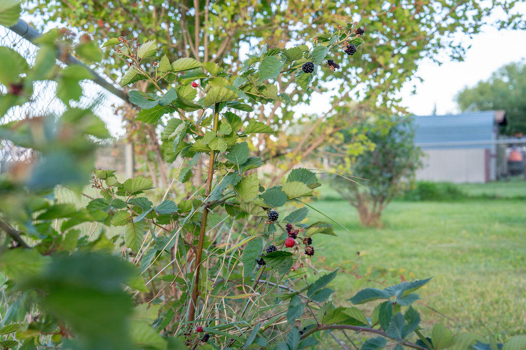 Mtn Vista - Residential