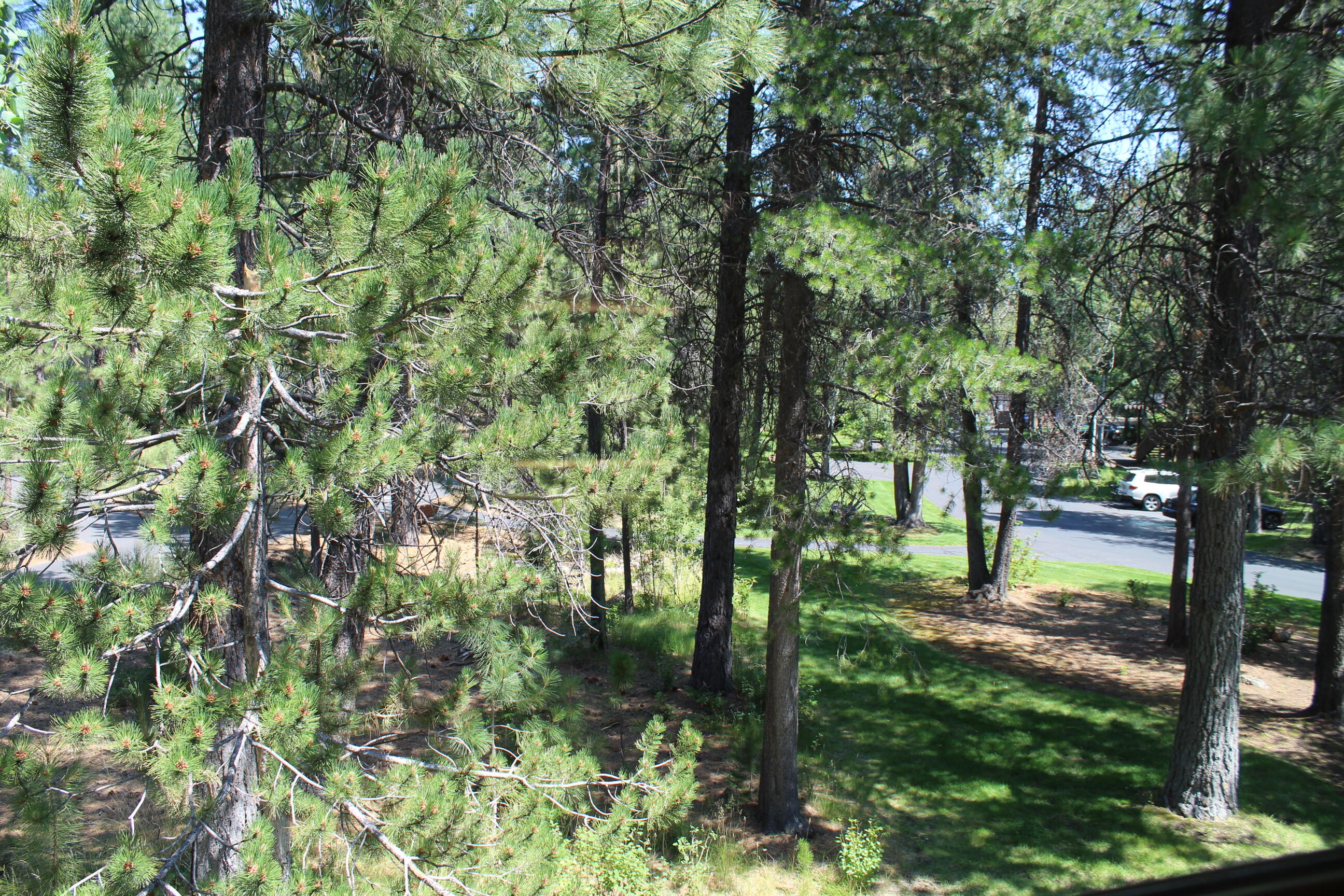 The Ridge - Residential