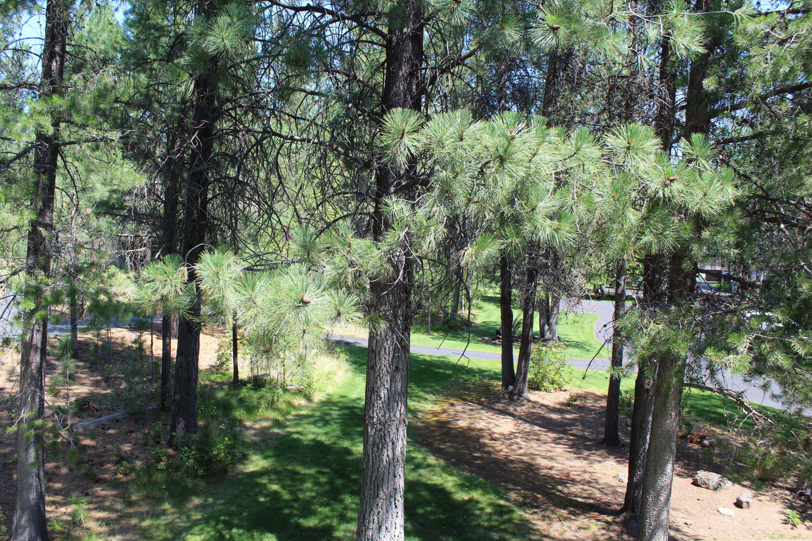 The Ridge - Residential