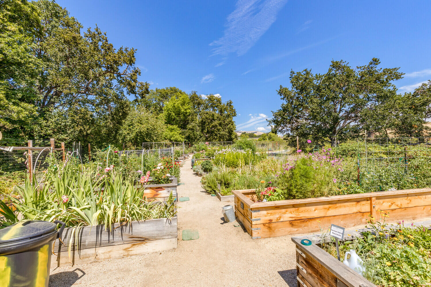 Great Oaks At Mountain Meadows, APlanned Community - Residential