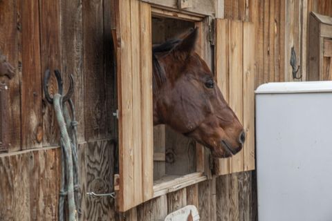 Tiny photo for 6180 SW Wickiup Lane, Redmond, OR 97756 (MLS # 220211681)