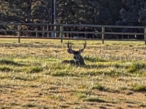 Tiny photo for 6180 SW Wickiup Lane, Redmond, OR 97756 (MLS # 220211681)