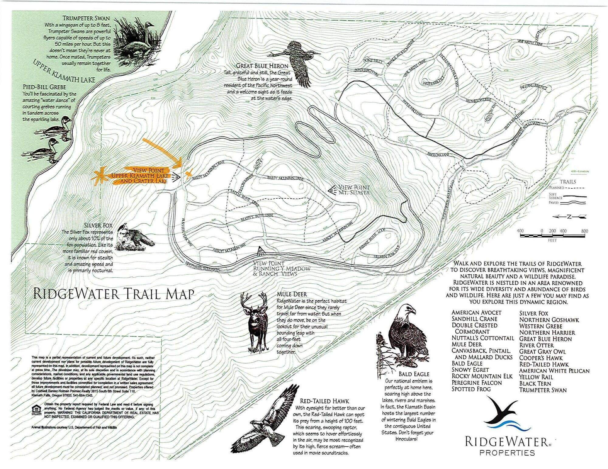 Ridgewater Subdivision -Phase 1 - Land