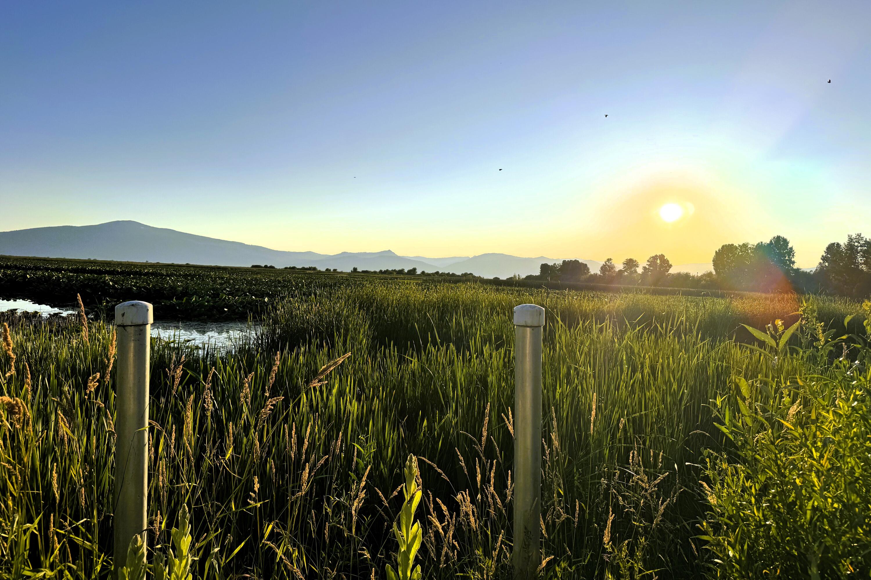 Klamath Country - Residential