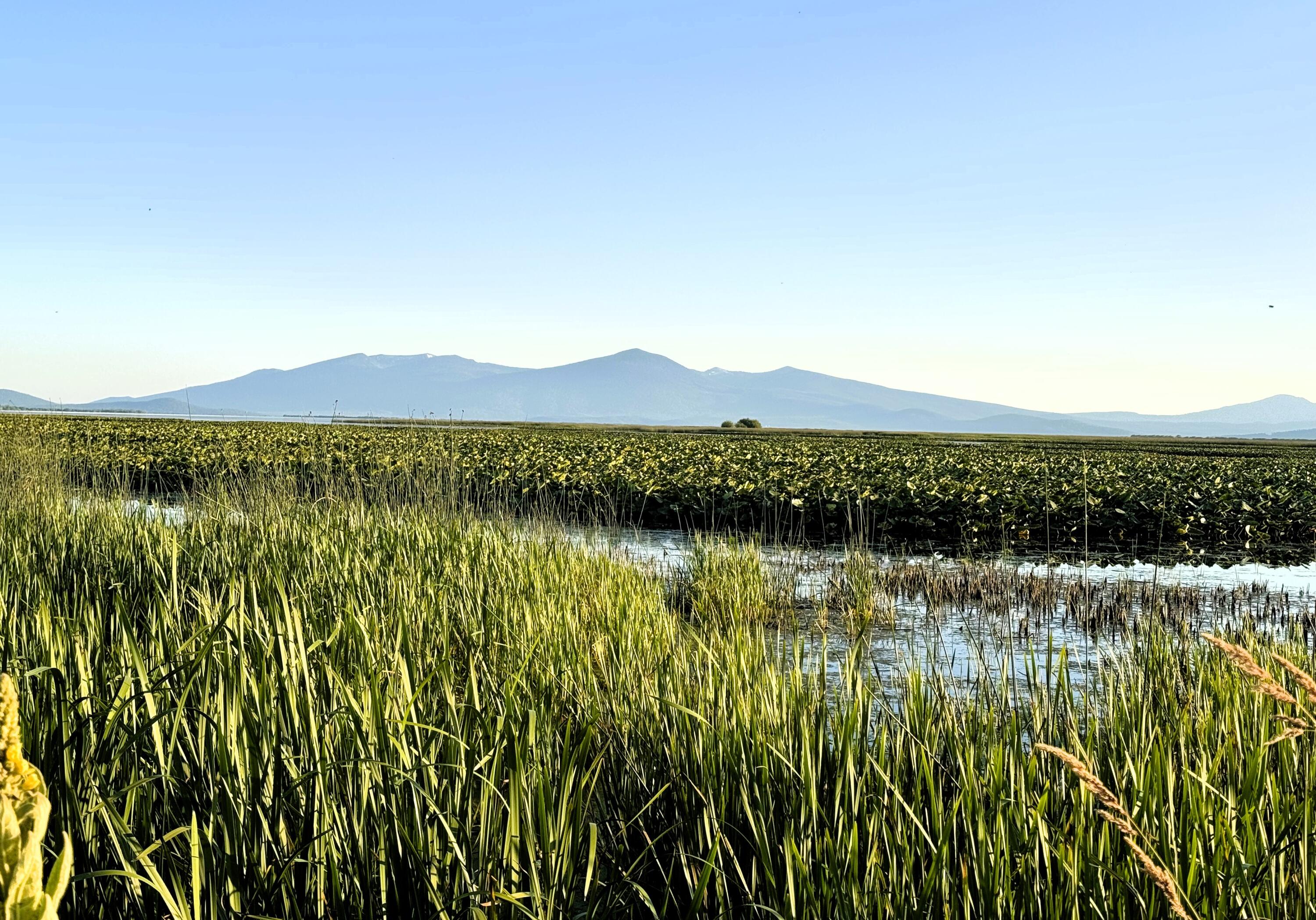 Klamath Country - Residential