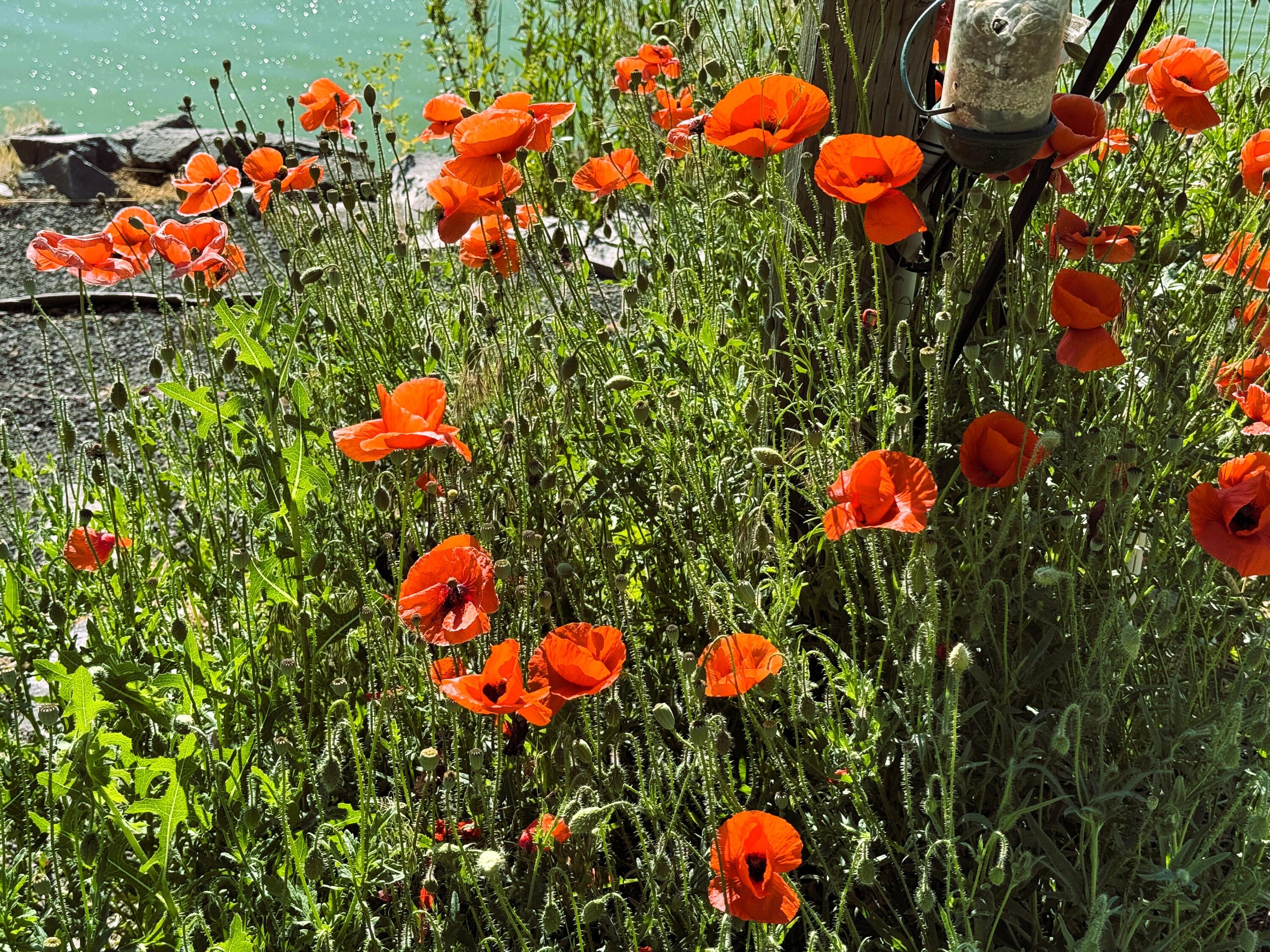 Klamath Country - Residential