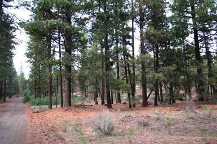 Two Nice Lots With 5 Acres In The Pine Trees. Good Gravel Road, Power Nearby. A Great Building Site.
