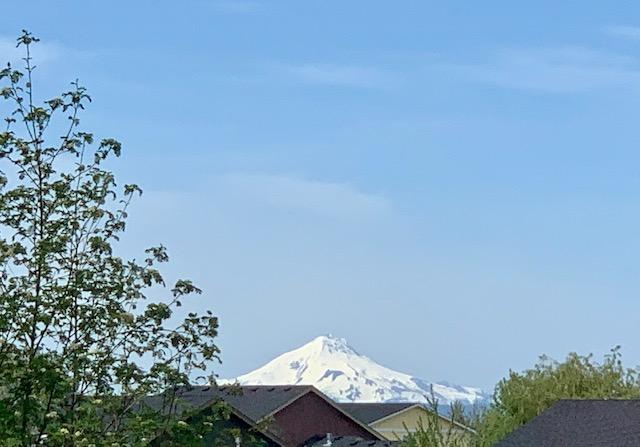 Braydon Park - Residential