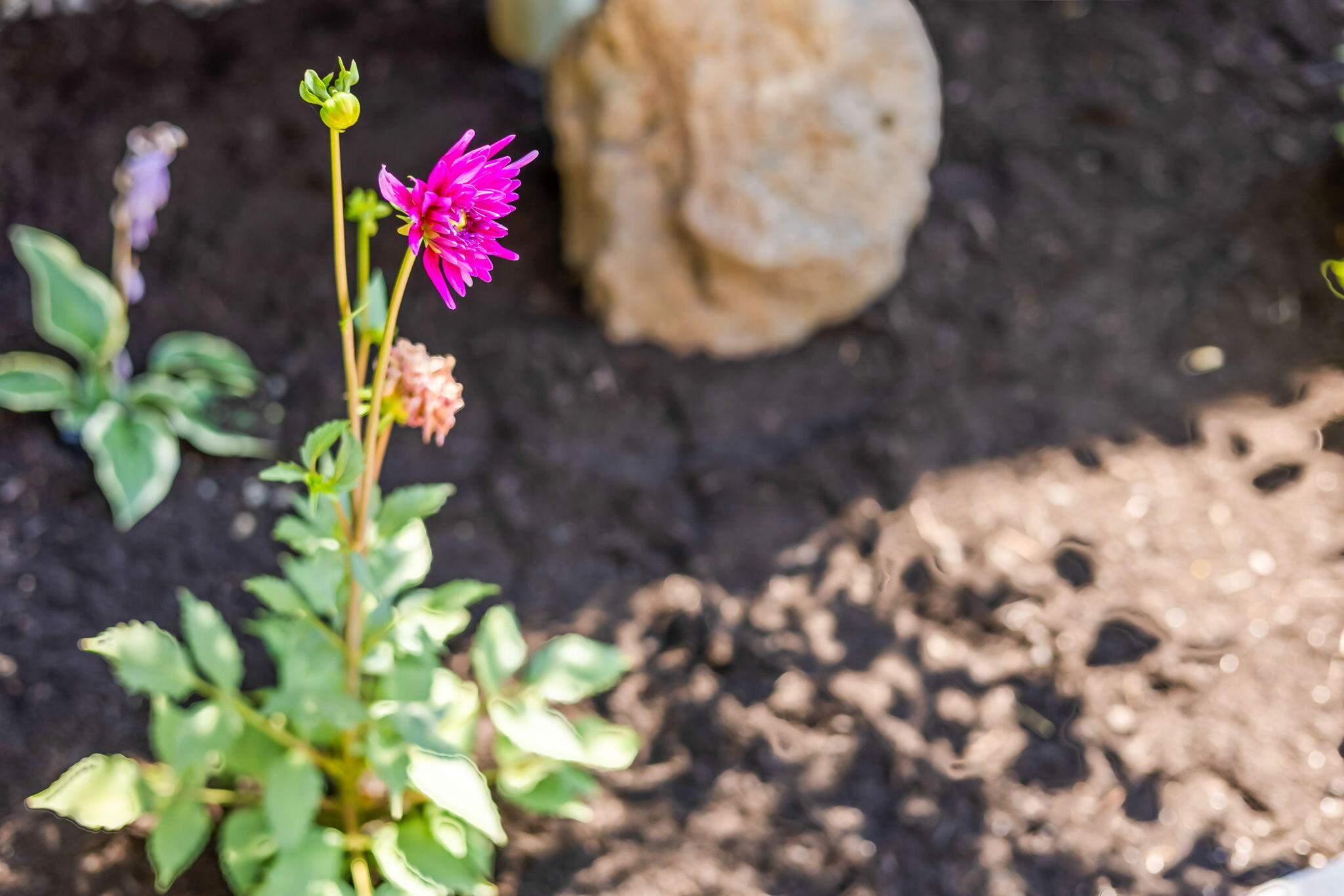 Mill Ridge - Residential