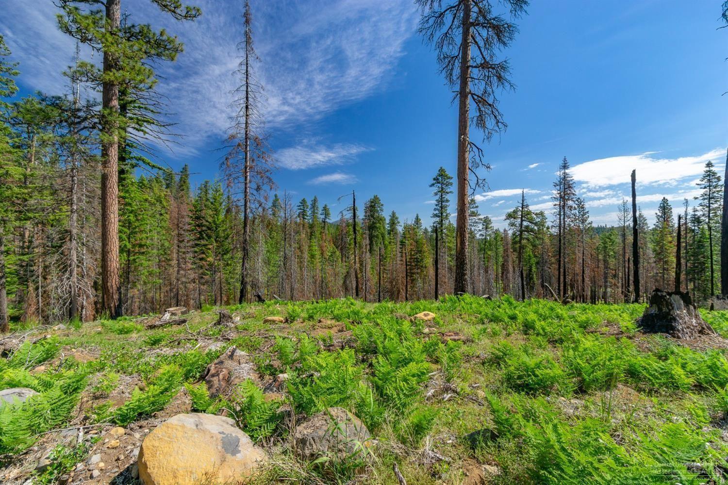 Lot-500 Forest Service Road 1030 Rd