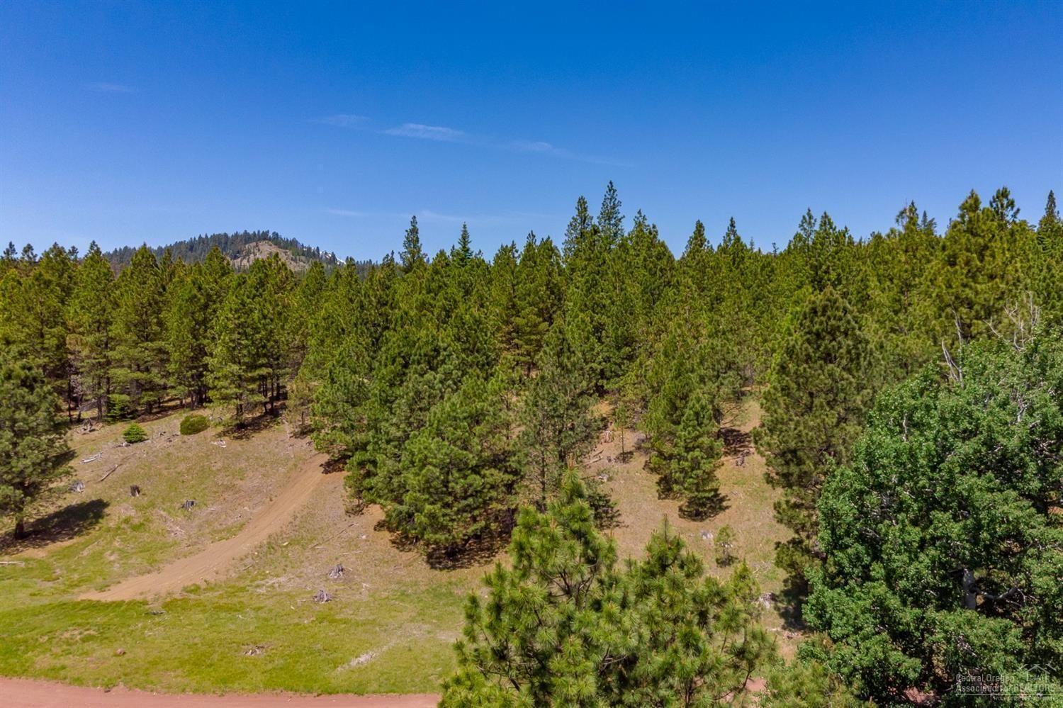 Lot-500 Forest Service Road 1030 Rd