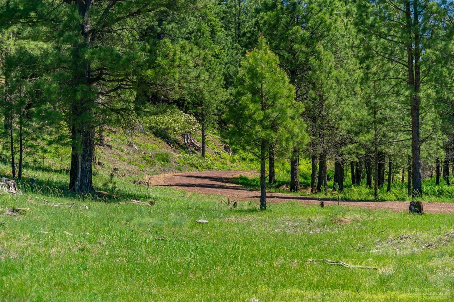 Lot-500 Forest Service Road 1030 Rd
