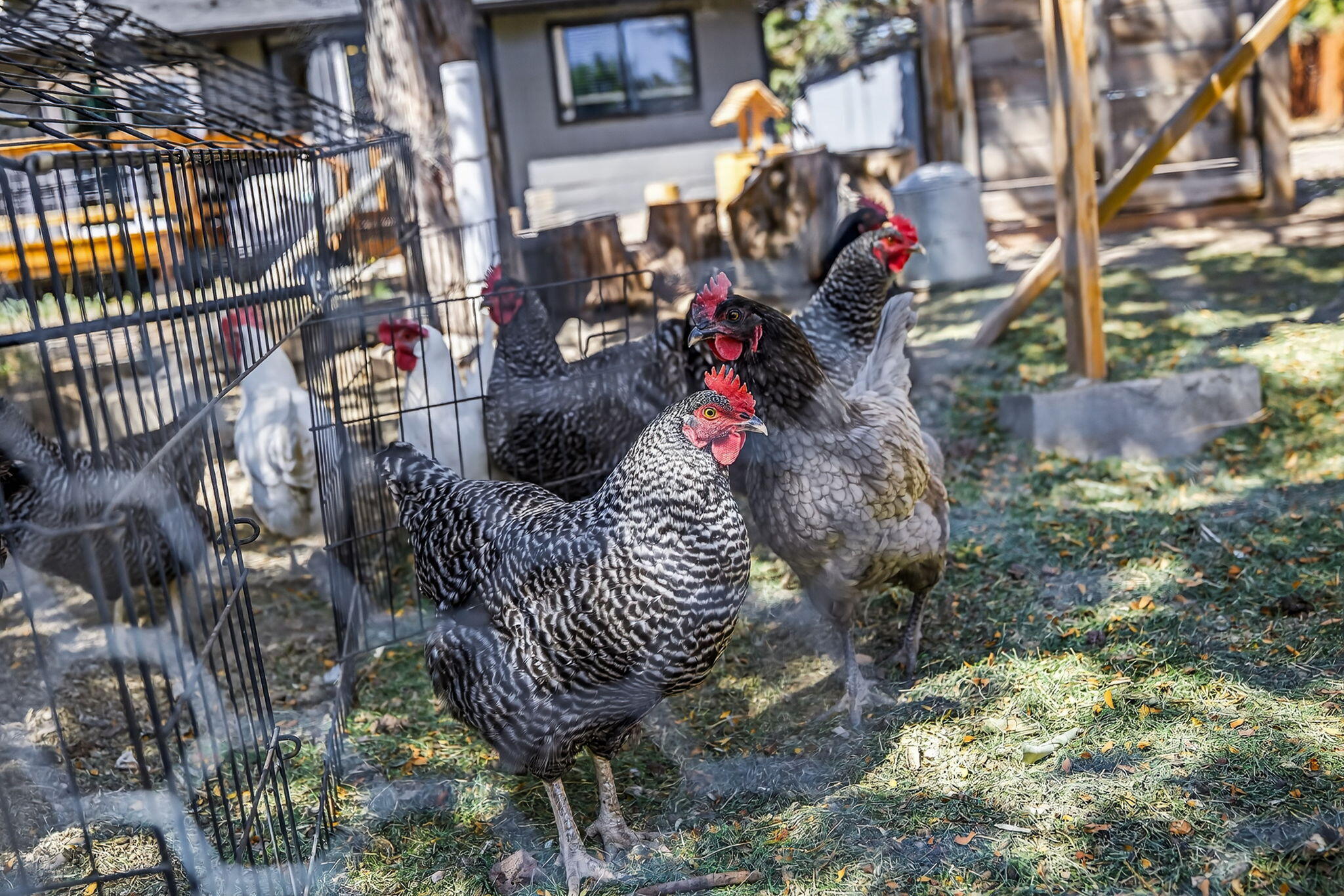 South Heights - Residential