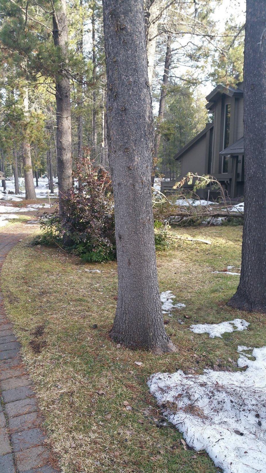 Tennis Village - Residential