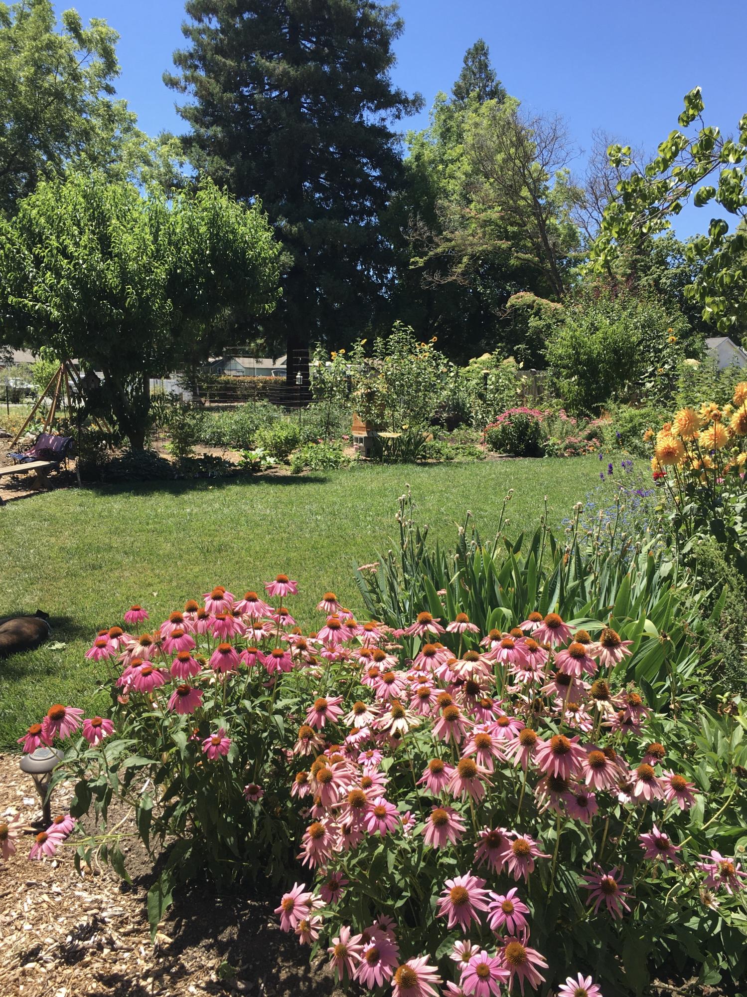 Happy Valley Estates Subdivision - Residential