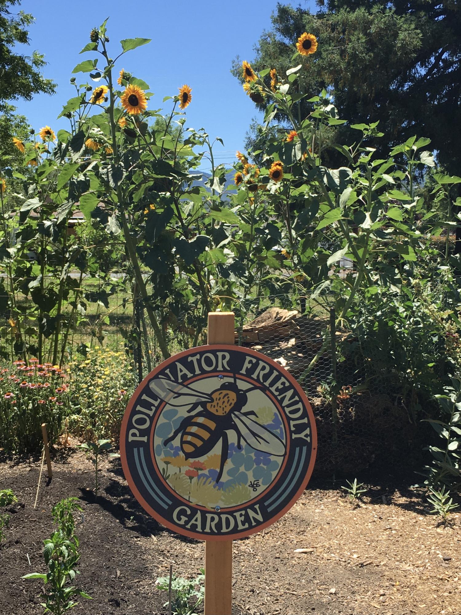 Happy Valley Estates Subdivision - Residential