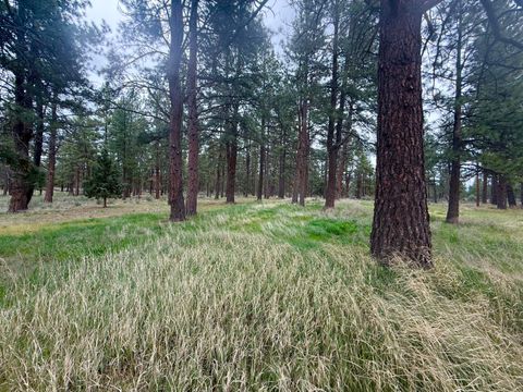 Tiny photo for 21717 Moccasin Lane, Chiloquin, OR 97624 (MLS # 220219867)