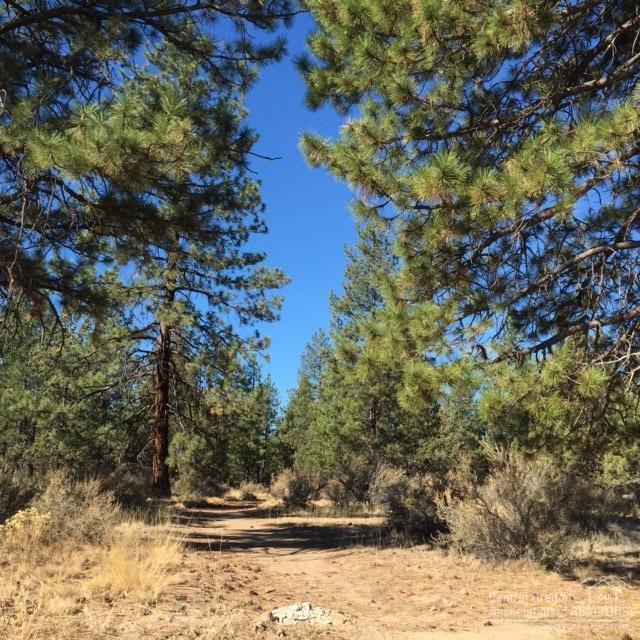 CLAB - Commercial Sale