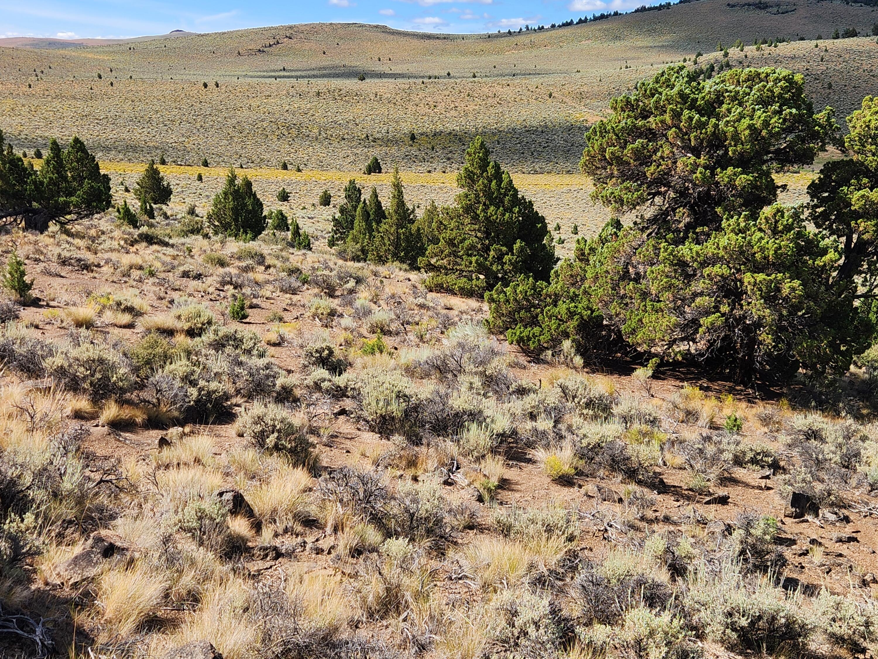Fox Butte Road 2016000001901
