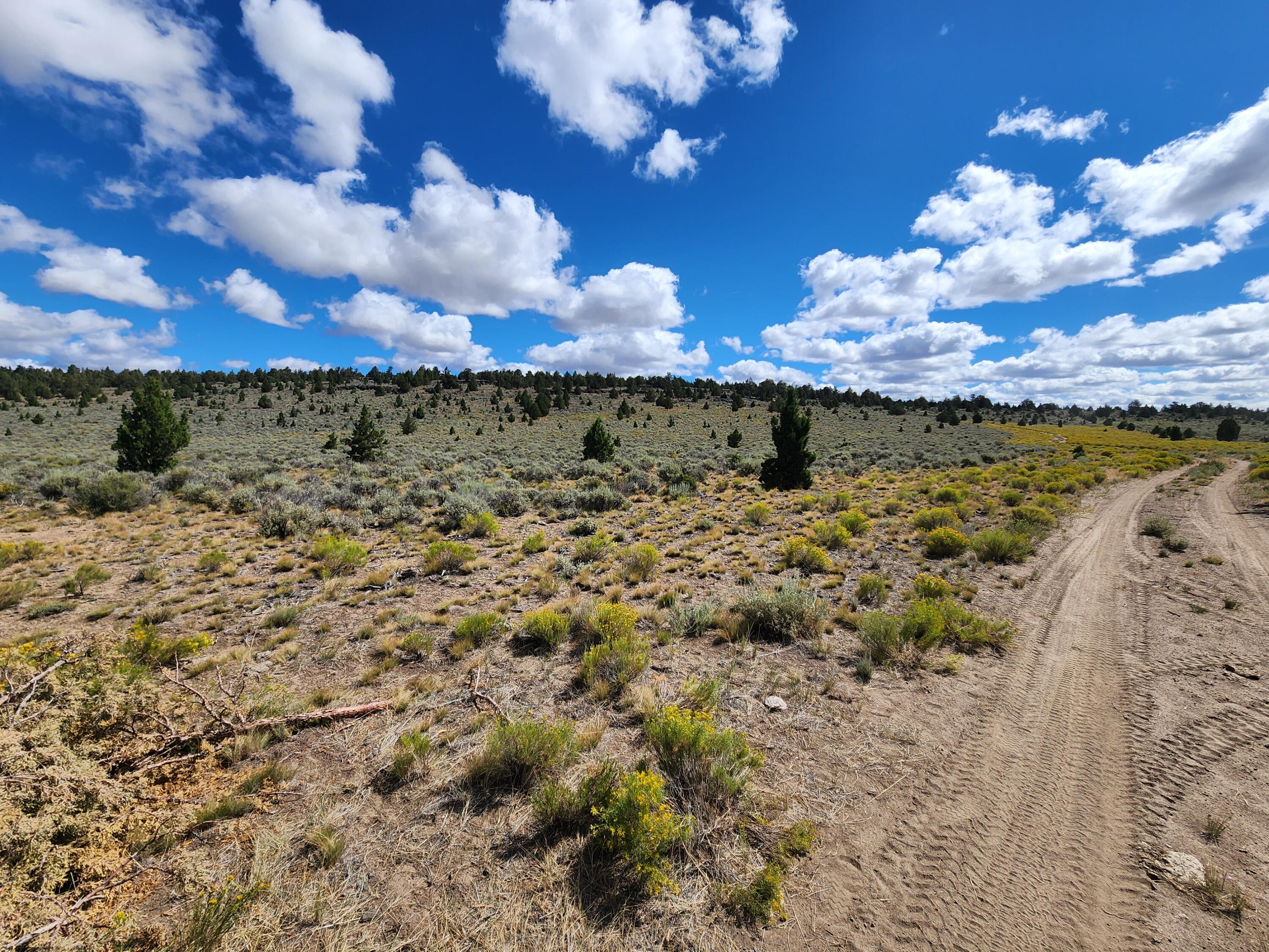 Fox Butte Road 2016000001901