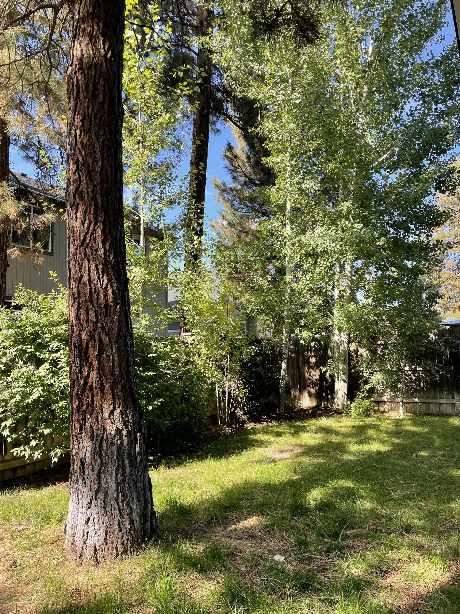 Village@Cold Springs - Residential