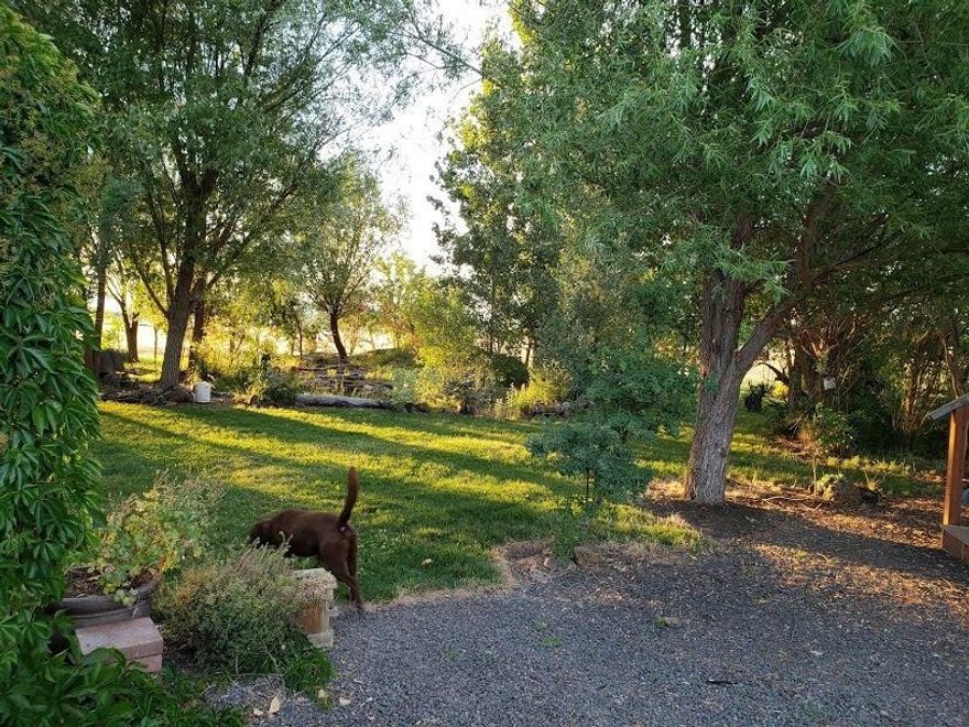 2 acres fenced with your own park in the back yard, Large fish pond and water fall. Very cute 3 bedroom 2 bath home. With New Paint , Floors and Much more.. Detached Garage,cover patio, lots of parking for your toys, plus storage shed. and a great tree house for the kids. All so a Place to have your horse or 4H Animals. This home is in a excellent area of nice homes. and Lignin on the road for dust control.