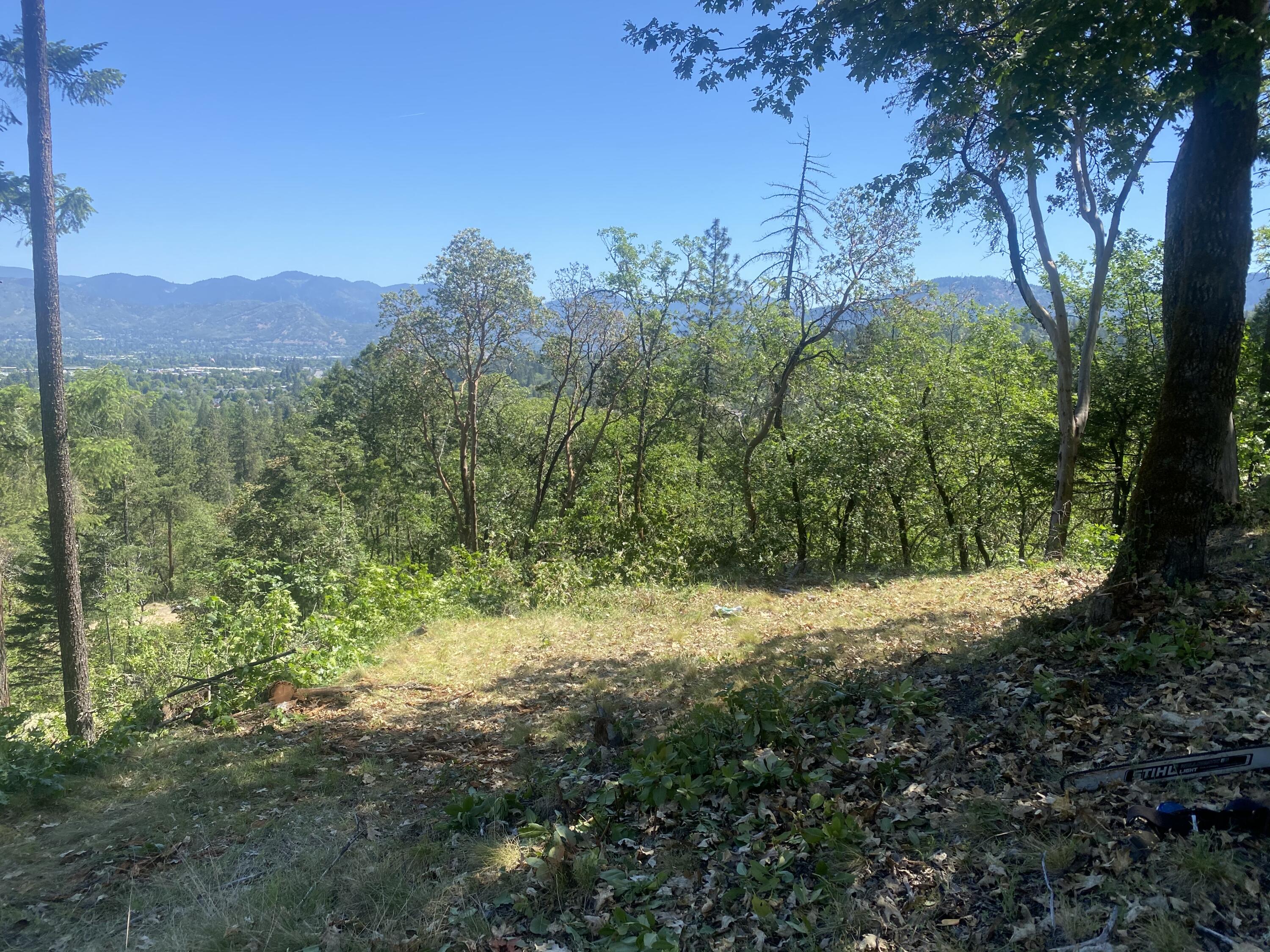 Larkin Heights (pud) - Land