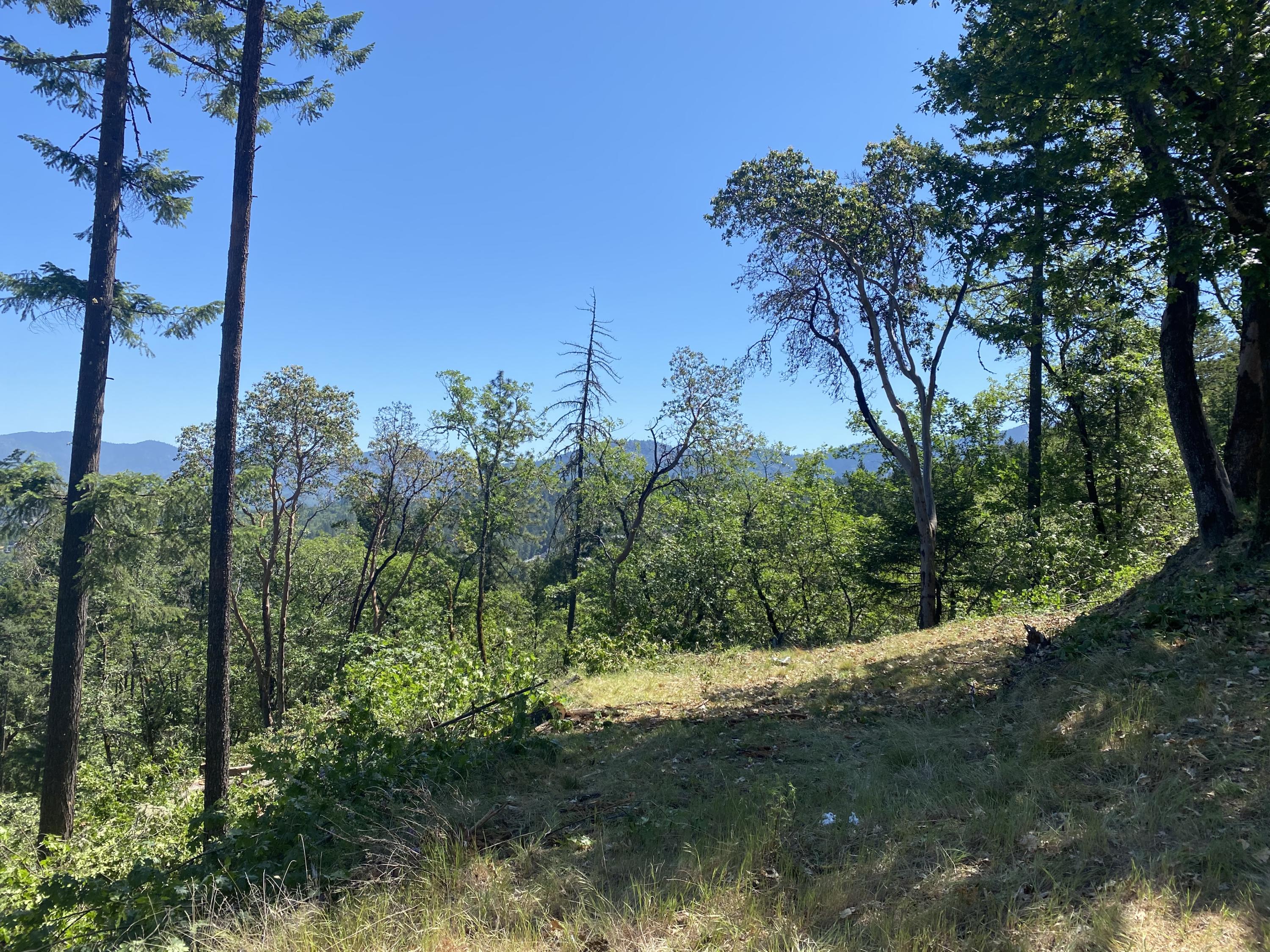 Larkin Heights (pud) - Land