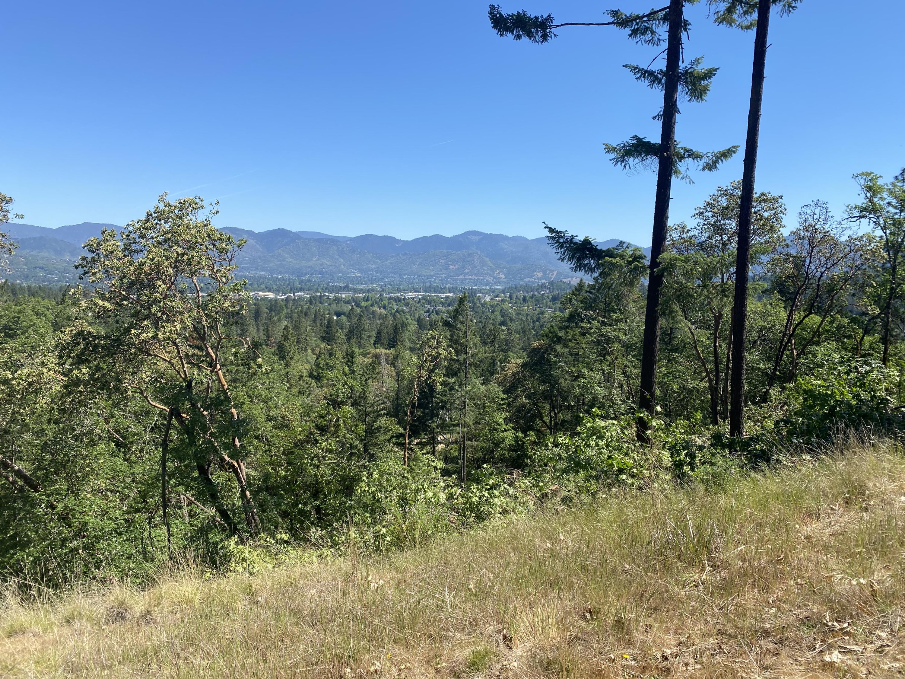 Larkin Heights (pud) - Land