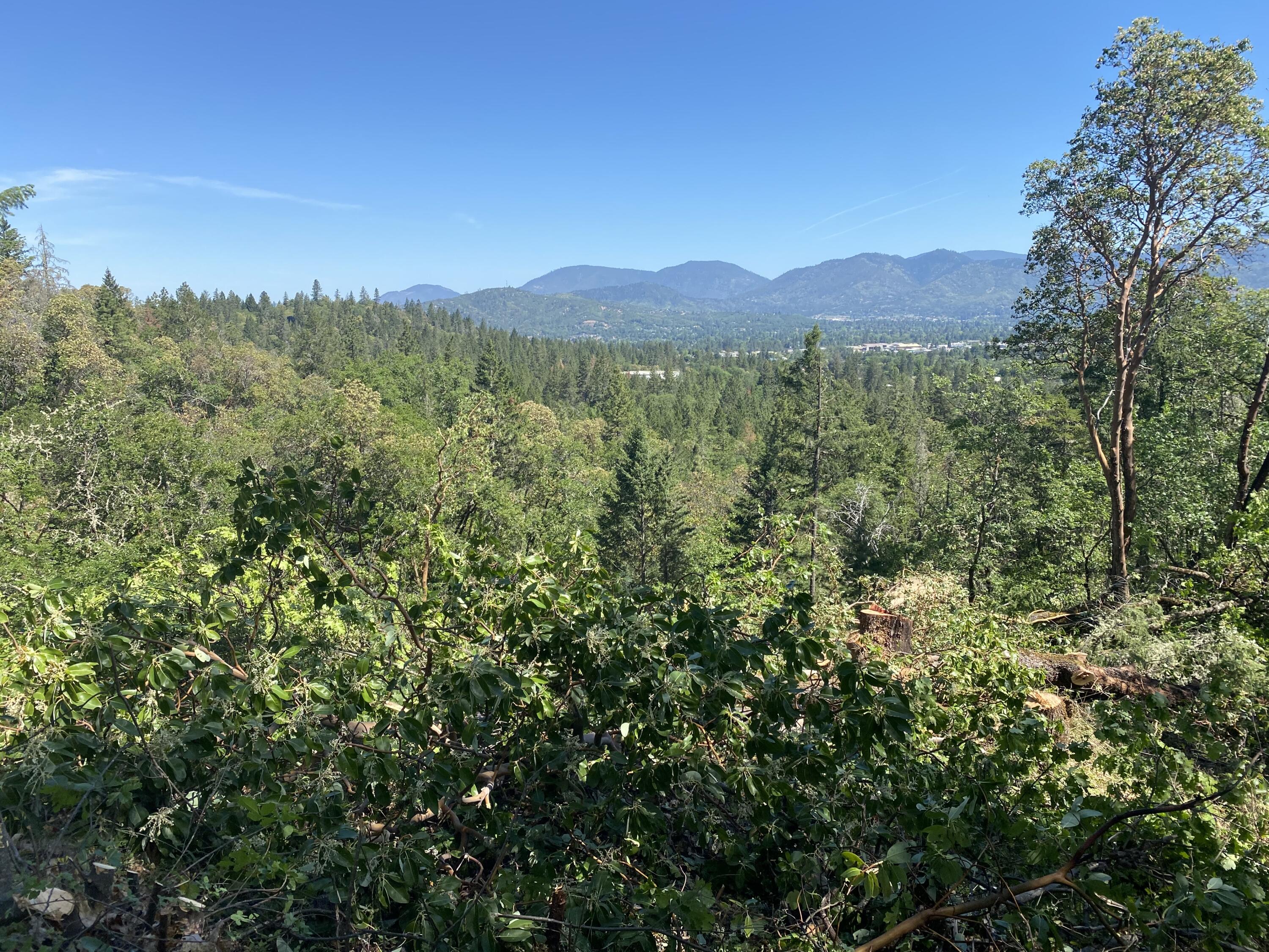 Larkin Heights (pud) - Land