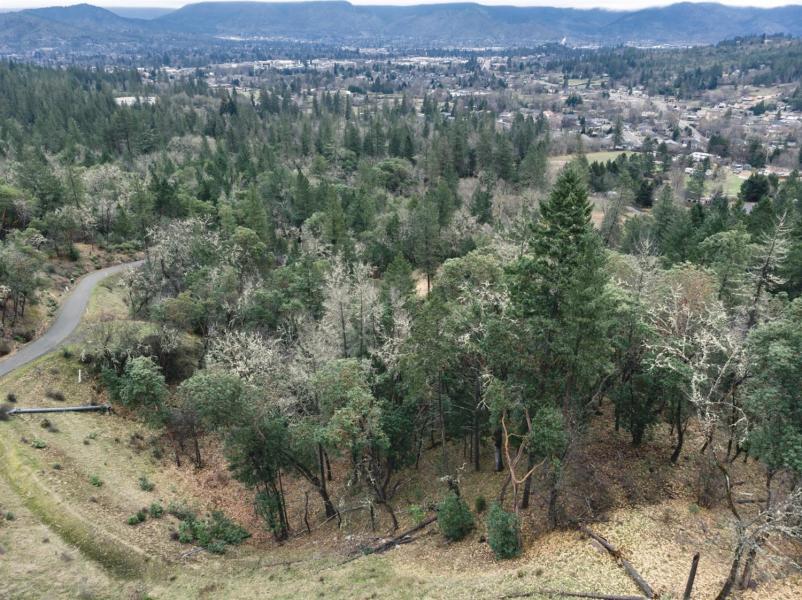 Larkin Heights (pud) - Land