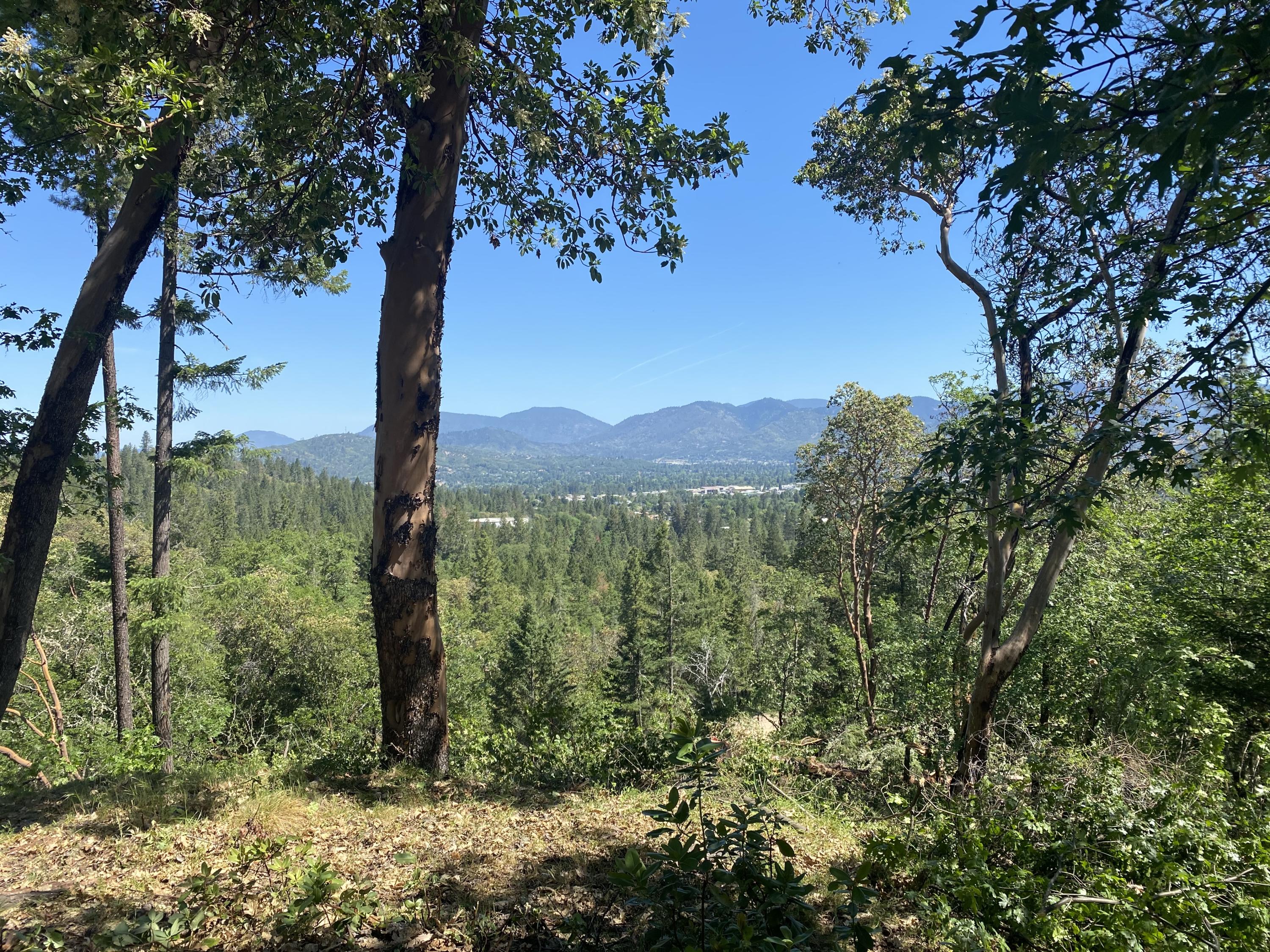 Larkin Heights (pud) - Land